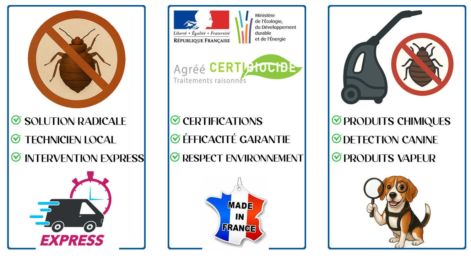 Punaises de Lit Le plessis robinson 92350