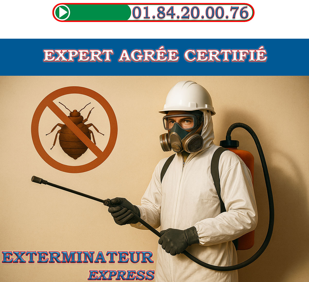 Punaises de Lit Puteaux 92800